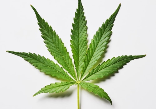 The Impact of Cannabis Legalization on Pasco, Washington: An Expert's Perspective