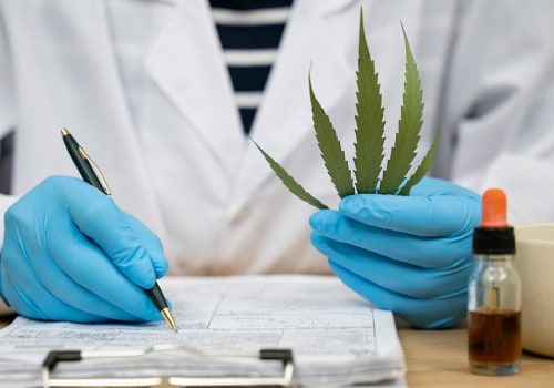 The Risks of Cannabis Use: An Expert's Perspective on Educating the Public in Pasco, Washington