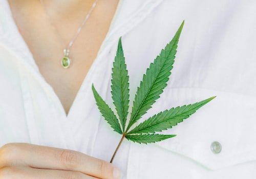 Cannabis Advocacy in Pasco, Washington: Empowering the Community