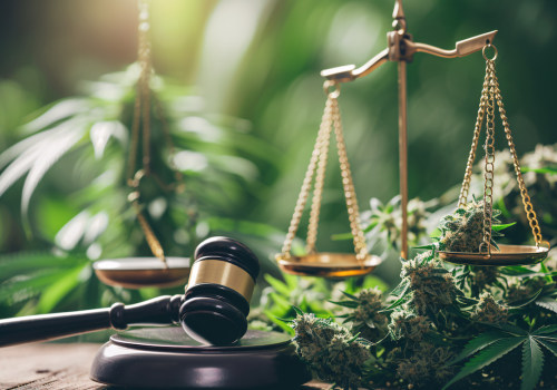 The Struggle for Cannabis Acceptance in Pasco, Washington